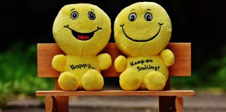 Veselia în mediul online