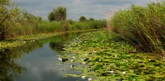 Un Paradis chiar lângă noi