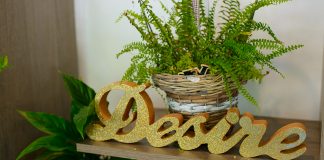 Desiree FlowerShop, deschis provocărilor