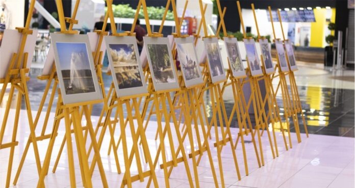 articol expo zilele dunarii