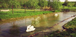 Casa cu stuf – Raiul dintre cele două oraşe