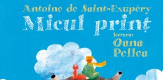 10 MOTIVE PENTRU CARE TREBUIE SĂ RECITEȘTI „MICUL PRINȚ”
