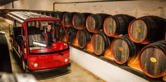 Cricova, esenţa procesului misterios de vinificaţie