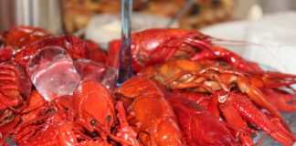 La Brăila se va organiza Caravana racilor