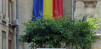 Lansarea romanului „Sindromul Stavroghin”, la festivalul de carte „Axis Libri“