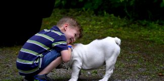 Copiii și prietenia cu animalele de companie