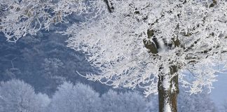 Lucruri inedite despre iarnă