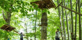 Parc de aventură, în Pădurea Gârboavele