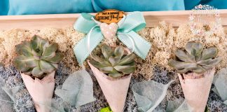 Decorațiuni naturale – design verde marca Extreme FlorEvents