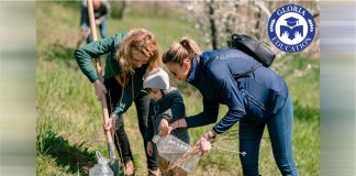 Pădurea „Green Gloria”: mobilizare de la mic la mare, pentru 10.000 de puieți