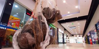 Instalații-manifest de artă contemporană, realizate din plastic reciclat, expuse la Shopping City Galați pentru a marca Ziua Dunării
