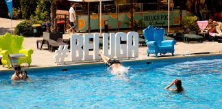 Beluga Pool – un strop de vacanță și relaxare pentru tine (P)