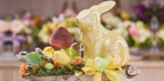 Extreme FlorEvents – speranță, bucurie, pace!