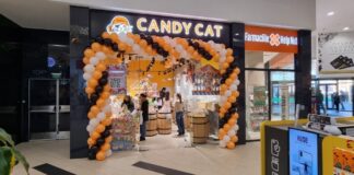 Candy Cat – Lumea Dulciurilor de la Shopping City Galați