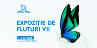 Bucură-te de o experiență inedită la Brăila Mall: Expoziția de Fluturii Vii