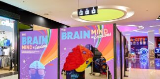 Învățăm și ne distrăm împreună la Expoziția “The Brain: Mind & Emotions” de la Brăila Mall