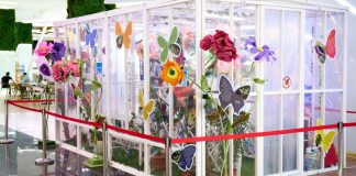 Expoziție de Fluturi Vii la Brăila Mall: grație, culoare, transformare!