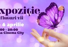 Expoziţie de fluturi exotici vii la Brăila Mall!