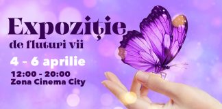 Expoziţie de fluturi exotici vii la Brăila Mall!