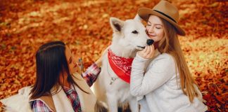 Filozofia blândă a animalelor de companie