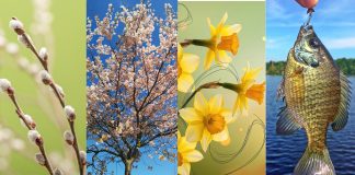 Sărbătoarea Floriilor: tradiții și semnificații